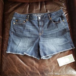 American Eagle size 18 Boy Misi Short